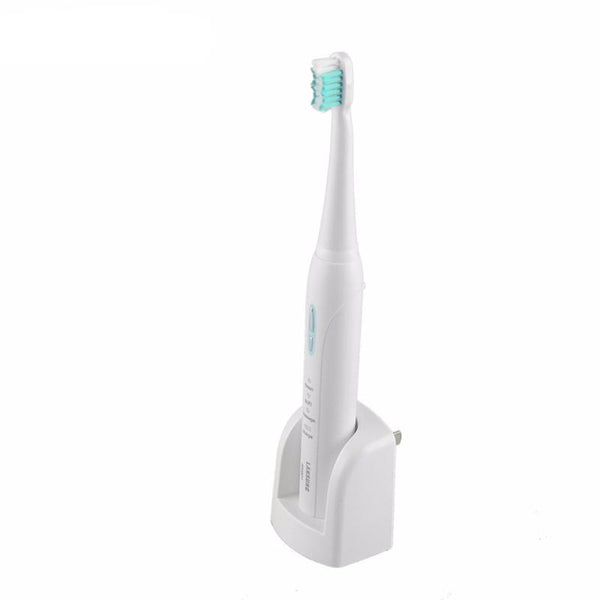 Toothbrush's Replacement Heads